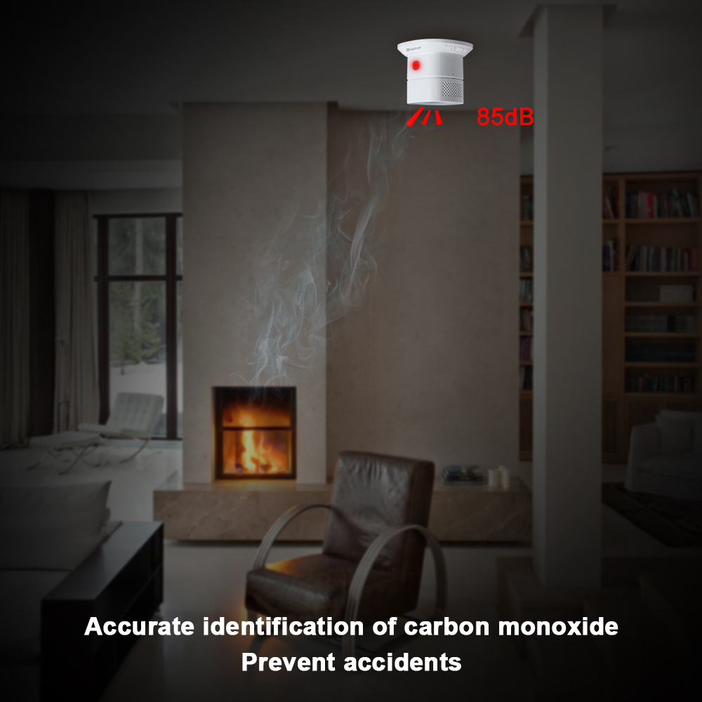 HEIMAN-detector de monóxido de - Smoke Leak Detector reseña y precio